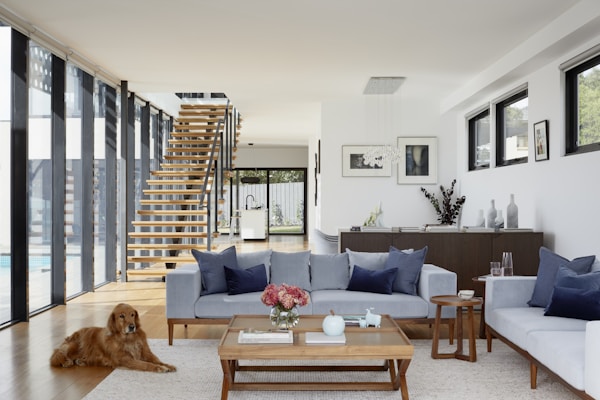 Plan d'agencement loft 90m² — modélisation Revit implantation mobilier et éclairage