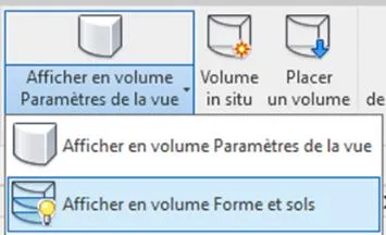 Onglet VOLUME ET SITE - Afficher en volume Forme et sols